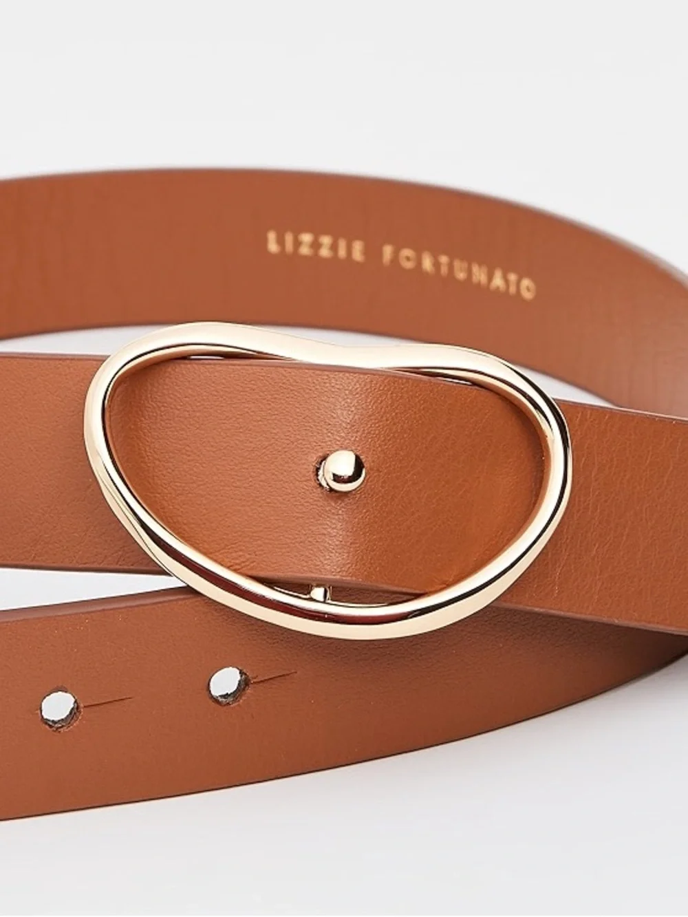 Lizzie Fortunato || Wide Georgia Belt in Tan Silver Tone Buckle